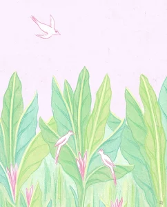 Indian miniature painting. Indian Garden's birds